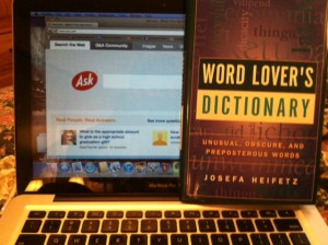 Olivia Newport Word Lover's Dictionary