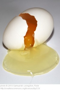 Olivia Newport broken egg